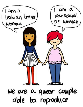 Illustration for article titled Heterosexual Cisgender Queering of Transgender Sexuality